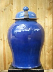Late 18th Century Chinese Powder Blue Lidded Jar