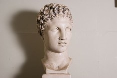 19th Century Neo-Classical Plaster Bust